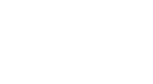 Fiteltechs 躍動國際科技 Logo